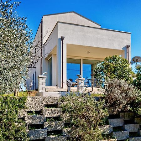 Villa Il Poggino - Modern House Фояно-делла-Кьяна Экстерьер фото